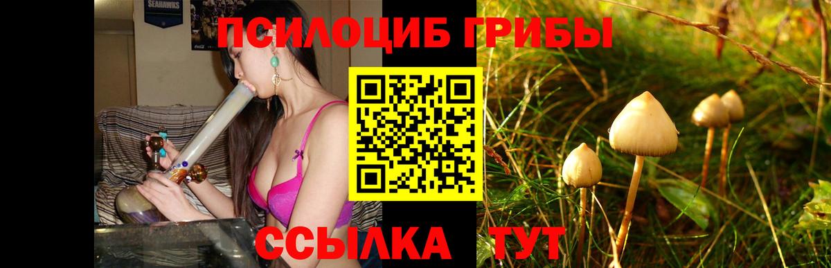 Псилоцибиновые грибы мицелий  Вход с VPN  Псилоцибиновые грибы мухоморы  Норильск 